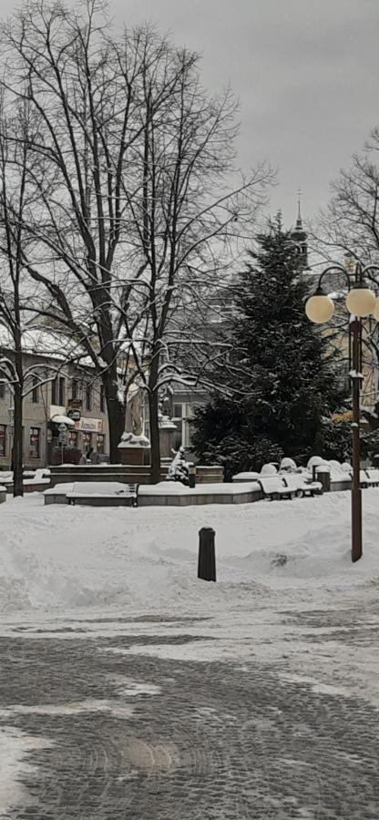 Lovecky Apartman Na Namesti Ve Frenstate Pod Radhostem Frenštát pod Radhoštěm Extérieur photo